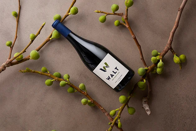 1,000 Miles of Pinot: The Willamette Valley AVA