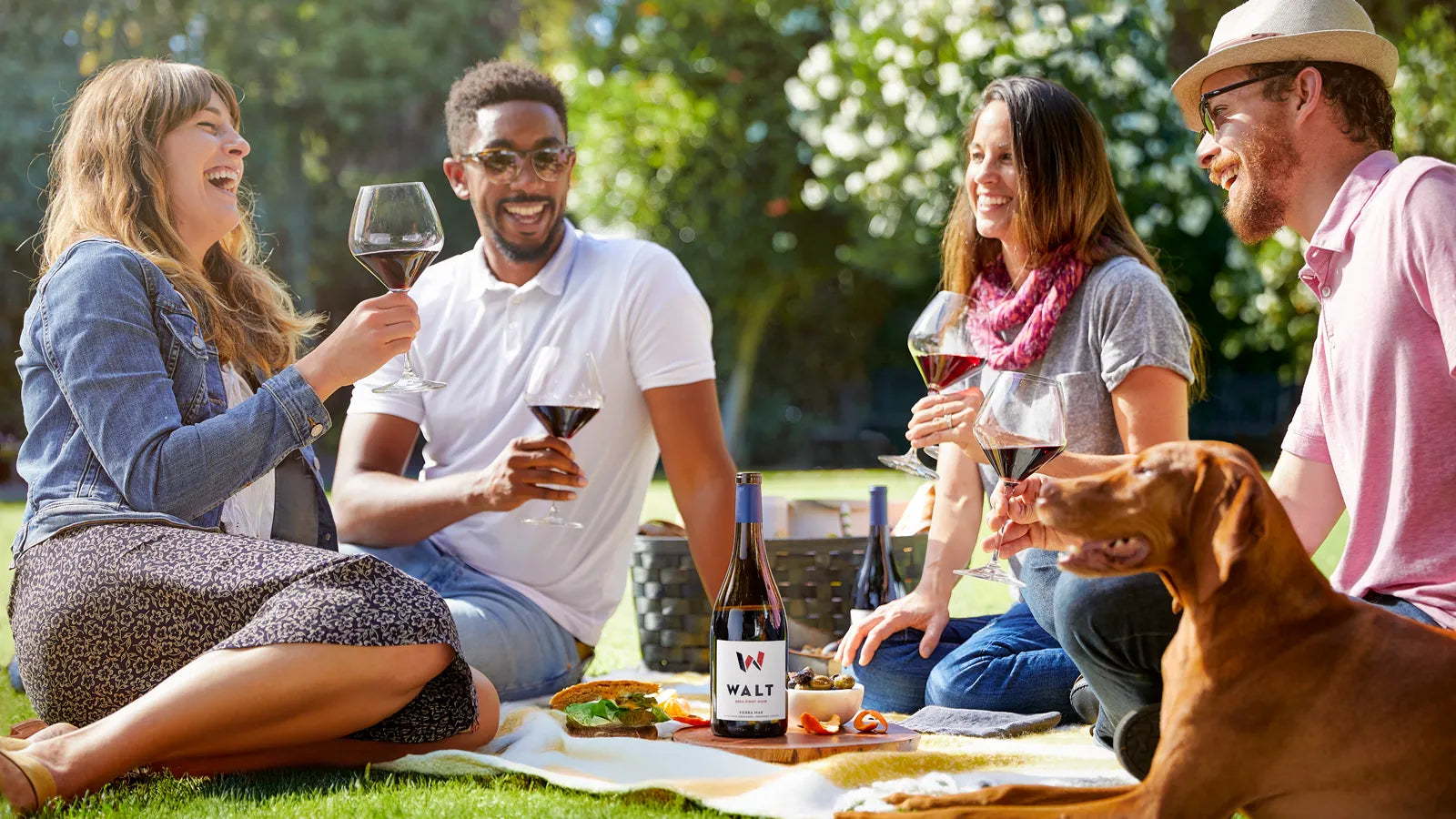Group of people enjoying a picnic with wine in a park, including a dog.